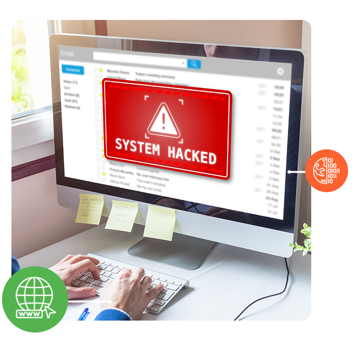 Network Security Expert